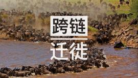 跨链迁徙——DeFi项目们的抄袭对象们