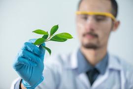 区块链分布式存储：生态大数据的存储新模式