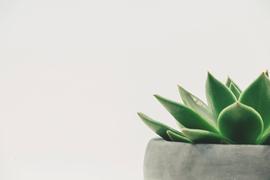 比特币挖矿真的绿色环保？所谓的“破坏环境”事实上站不住脚