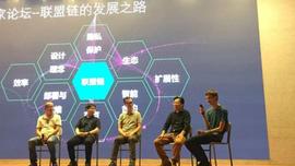 V神深圳飙中文：直指联盟链优势难以成立，当前公有链不足以支撑高频应用开发