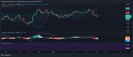 莱特币(LTC)价格分析