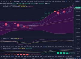 珊珊说币：BTC 晚间突破25200 再创历史新高