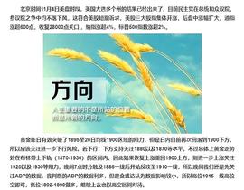 金盛达：11.5大选结果推迟黄金白银原油操作策略