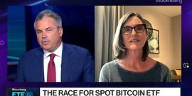 女股神：SEC将批准多个比特币现货ETF，关键时间就在灰度胜诉后
