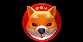 shib币为何疯狂！