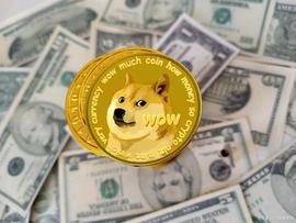 Dogecoin 是否在最近的下跌中是否存在机会