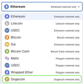 主要的 Web3 域名提供商现在接受狗狗币 (DOGE) 作为支付选项