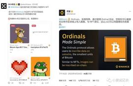 BTC的土狗已成就百倍，瞄准下一个千倍机会-ordinals生态