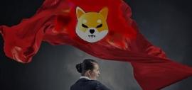 给柴犬的激动人心的提醒！什么来了？