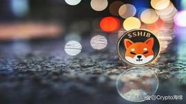 柴犬：SHIB 能让你成为百万富翁吗？