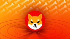 Shiba Inu：3500 名用户预测 SHIB 2023 年 4 月的价格