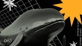鲸鱼如何导致比特币（BTC）价格大幅波动