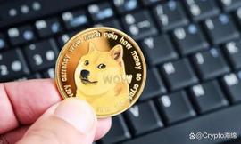 尽管价格暴跌，狗狗币（DOGE）仍实现盈利：绿色 53%