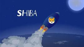 Shiba Inu：Shibarium 可以燃烧 5000 亿个 SHIB 吗？