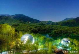 十个“脑洞大开”的区块链应用，其中涉及月球、宠物和教育