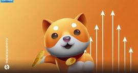 Baby Doge Coin 回应以太坊优于 BNB 链的原因