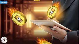 Baby Doge Coin 在过去 24 小时内燃烧了超过 4 万亿