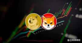 Shiba Inu 和 狗狗币Dogecoin 将引领下一轮牛市