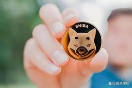 Shiba Inu（SHIB）有可能像它的领导者一样集结 150%+ 吗？