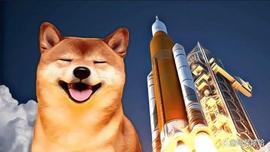 柴犬（SHIB）会达到 1 美元还是 50 美分？