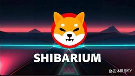 Shiba Inu：Shibarium 的 Puppynet 是什么，如何使用它？解释！