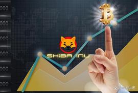 崛起：SHIB 会很快飙升吗？