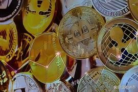 Shiba Coin：山寨币中的后起之秀