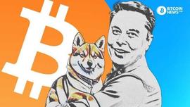 狗狗币的经济学以及为什么它是一个危险的注