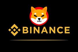 Binance 对 Shiba Inu 的评级很高，准备将 SHIB 从创新区中移除