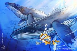 比特币鲸鱼向彭博社解释：为什么加密货币波动性将下降