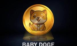 Baby Doge 团队暗示秘密人工智能项目，代币上涨 3%