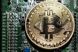 两年内半数比特币未动：这对 BTC 价格意味着什么？
