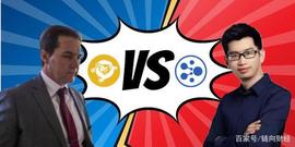BSV中国社区VS ELF社区，为何受伤的总是澳本聪