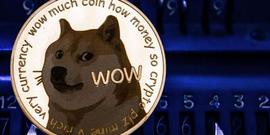 Dogecoin：在Elon Musk发射太空任务后，DOGE会达到0.50 美元吗？