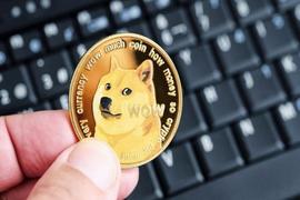 狗狗币价格更新：DOGE 价格在过去7天内飙升 28%；提前 1 美元？