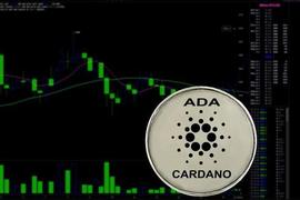 Cardano 的开发活动就可以看出有所下降
