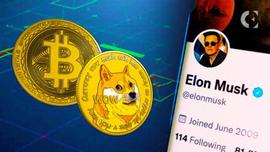 加密货币评论家称跟随马斯克投资 BTC 的人“愚蠢”