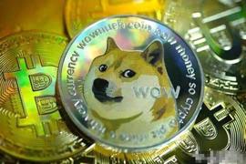 狗币（DOGE）价格在谷歌支持后飙升