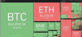 比特币价格和以太坊不变，Chiliz Rockets 16%