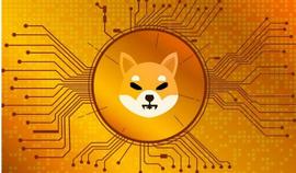 柴犬燃烧率加速 3,000%，会影响价格吗？