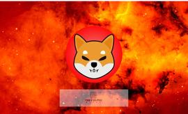 Shibburn 推出新应用程序，以帮助燃烧数十亿的 Shiba Inu