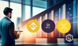BNB 和 XRP 齐头并进——新的加密宝石占据了市场主导地位
