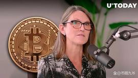 CathieWood表示SEC可能会同时批准多个比特币ETF