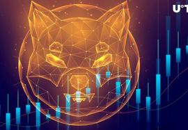 Shiba Inu（SHIB）即将出现重大价格变动；原因如下