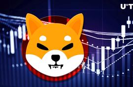柴犬（SHIB）暴涨10%，成为最赚钱资产之一