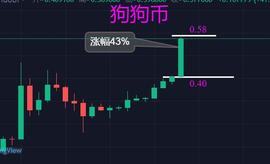 狗狗币上涨超过40%，价格再刷新新高，它凭什么这么强势？