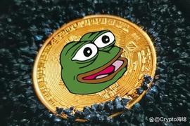 Pepe Coin 投资者获利 167 万美元，再次买入