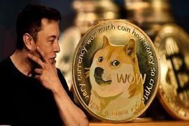 马斯克宣布新任首席执行官推高狗狗币、Floki Inu 和柴犬的价格