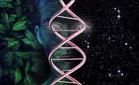 热力学如何解释进化论：最大化熵产生原理驱动下的自然选择