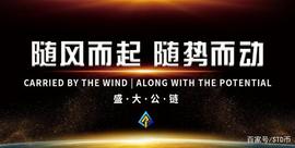 盛大公链STD关键特性